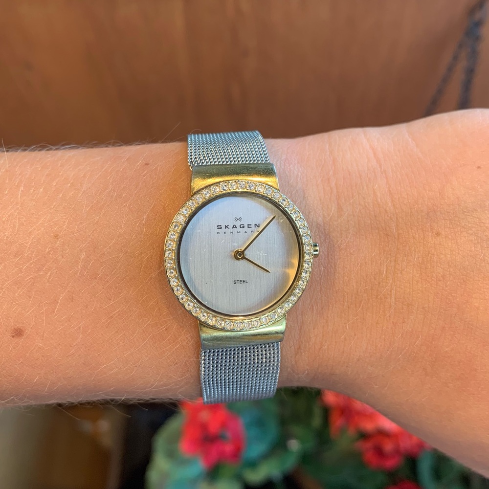 Skagen Watch